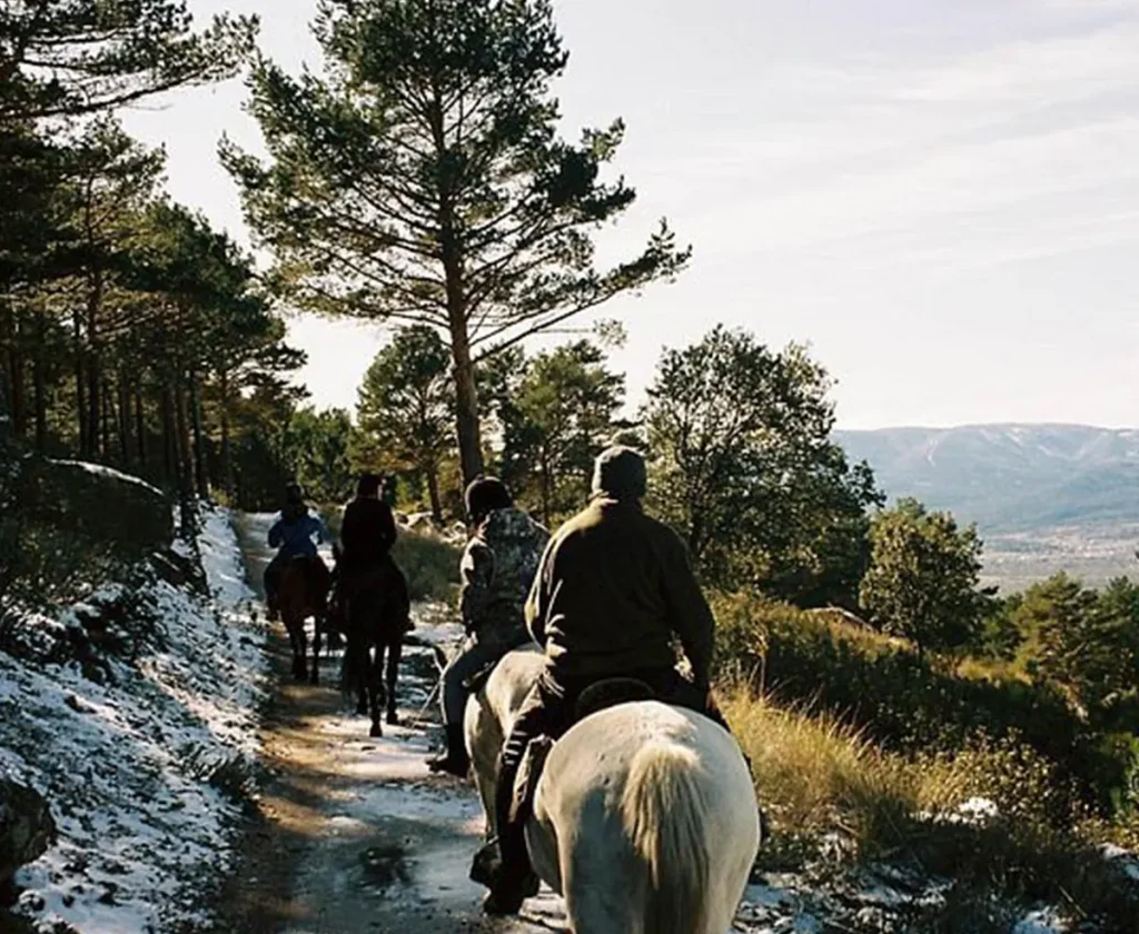 paseos-caballo-parque-natural-madrid-booking
